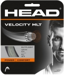 Tennissaite - Head - Velocity MLT - 12 m 16G/1,30 mmm | natural