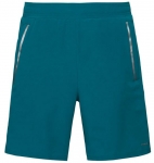 Head - PERFORMANCE Shorts - Männer (2020) lagune | M